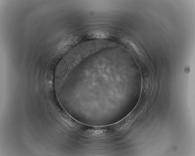 X0000091010553200708091604