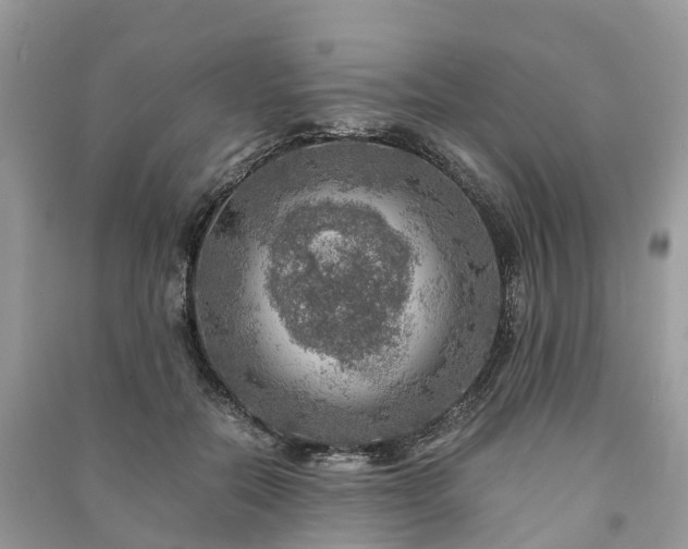 X0000091010554200708091604