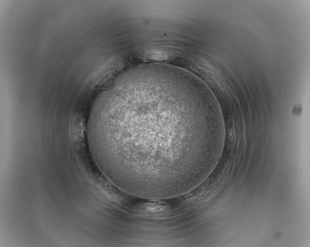 X0000091010555200708091604