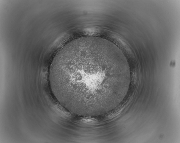 X0000091010557200708091604