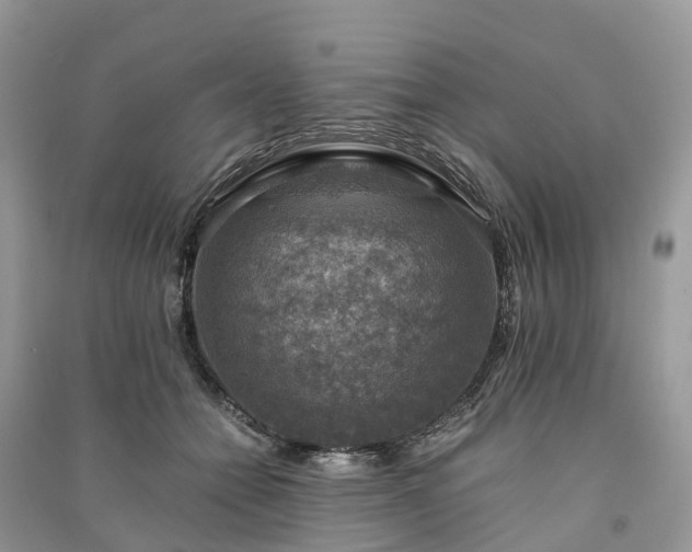 X0000091010558200708091604