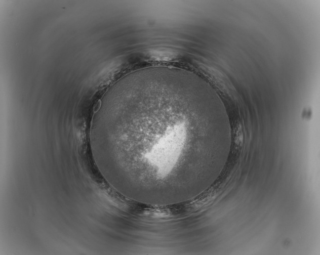 X0000091010559200708091604