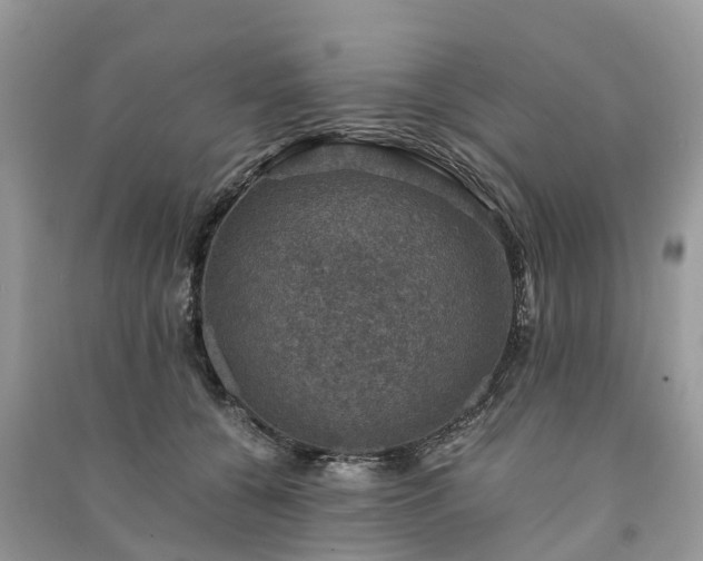 X0000091010560200708091604