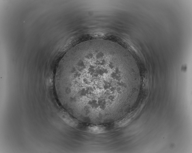 X0000091010561200708091604