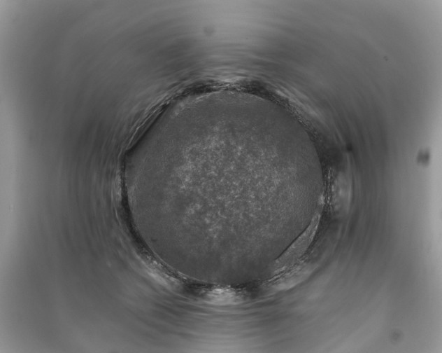 X0000091010562200708091604