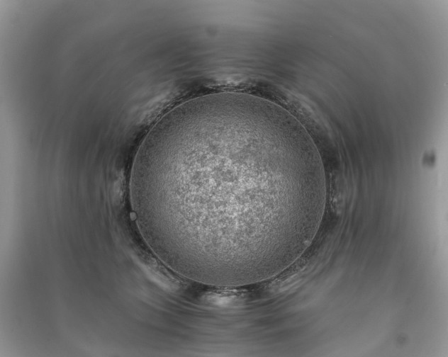 X0000091010563200708091604