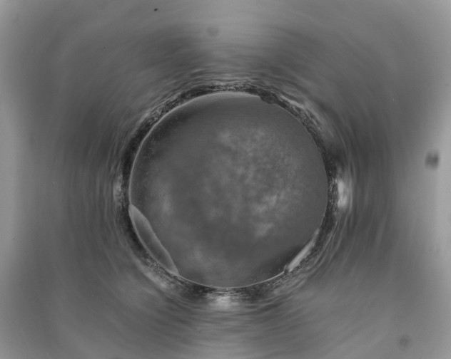 X0000091010564200708091604