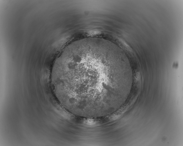 X0000091010565200708091604