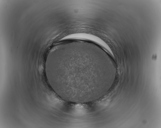 X0000091010566200708091604
