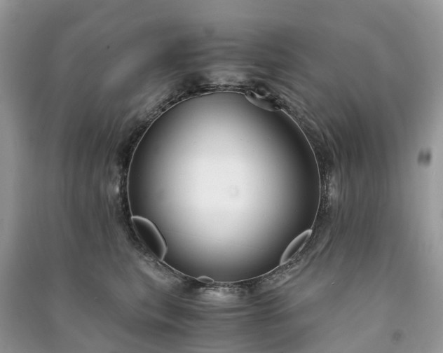X0000091010567200708091604