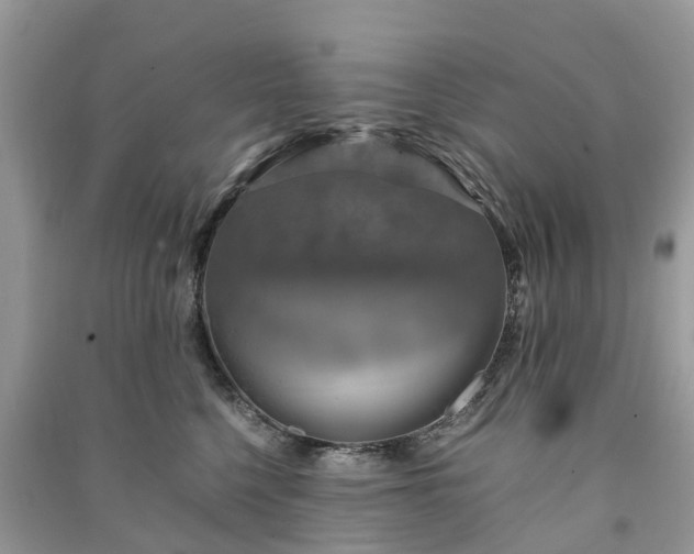 X0000091010568200708091604