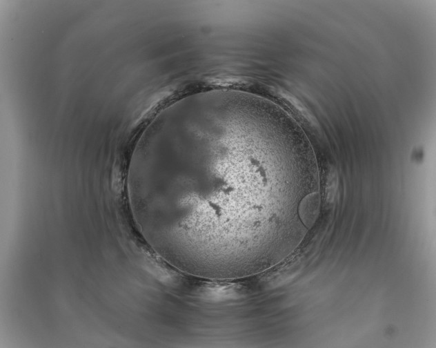 X0000091010569200708091604
