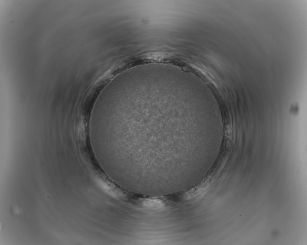 X0000091010572200708091604