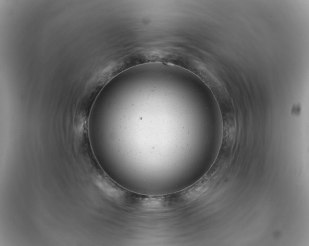 X0000091010574200708091604