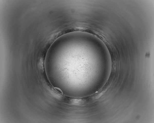 X0000091010575200708091604