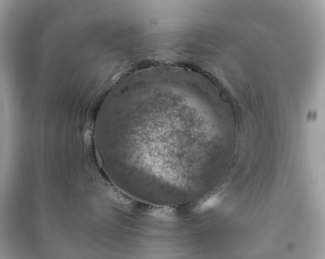 X0000091010576200708091604