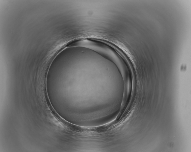 X0000091010577200708091603