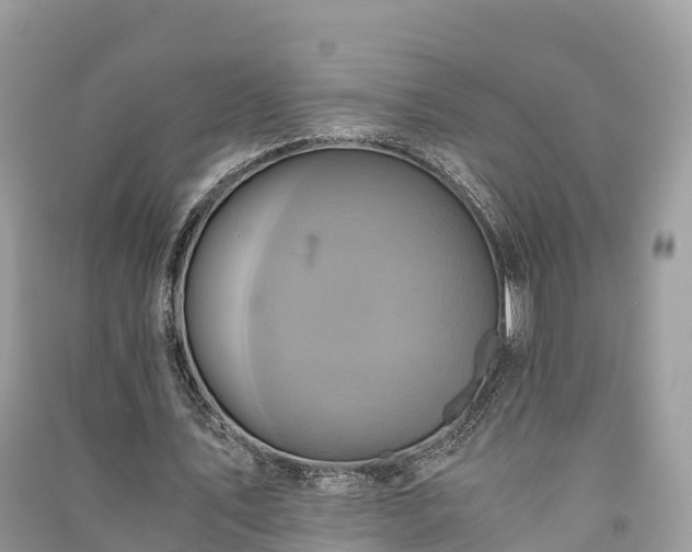 X0000091010579200708091603