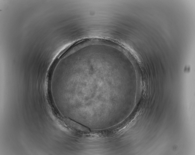 X0000091010580200708091603