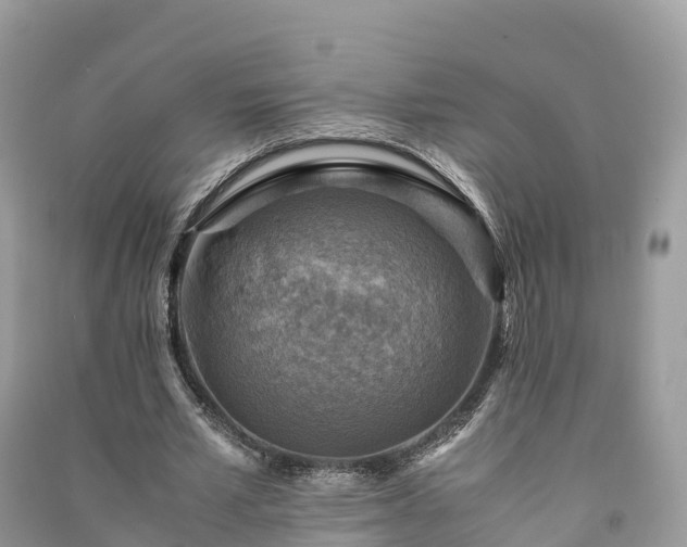X0000091010581200708091603