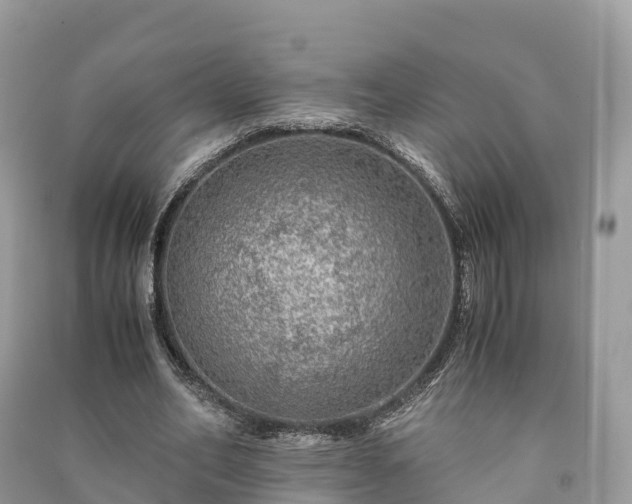 X0000091010582200708091603