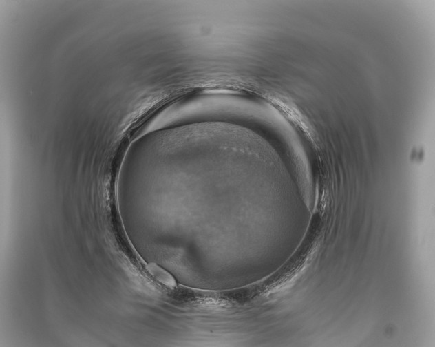 X0000091010585200708091603