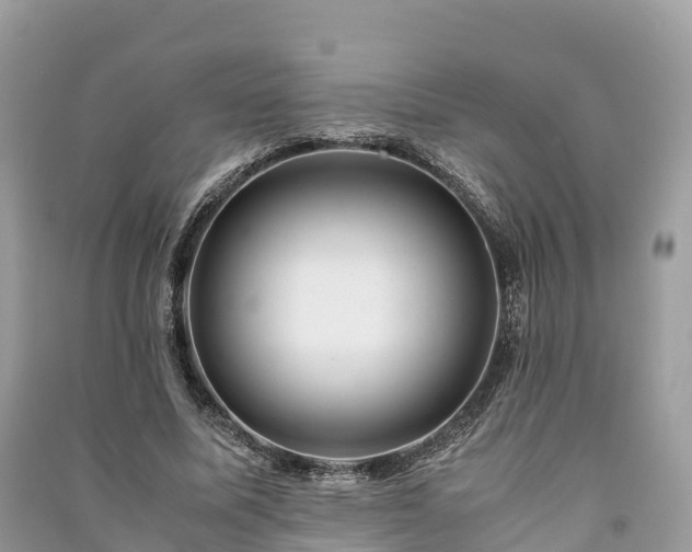 X0000091010587200708091603