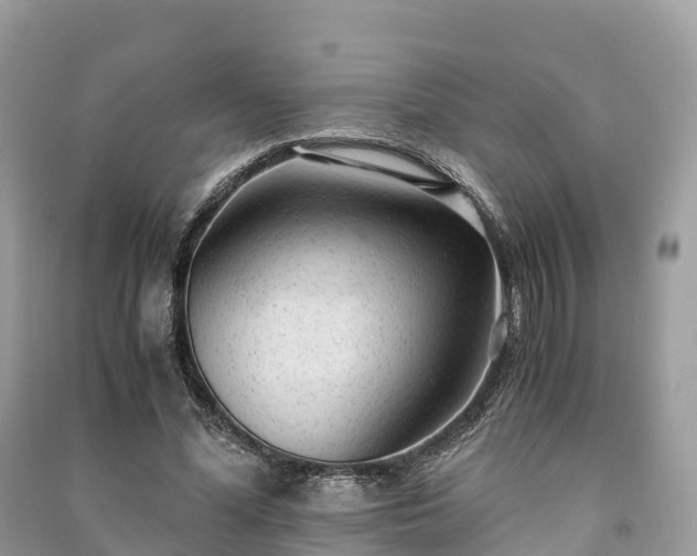 X0000091010588200708091603