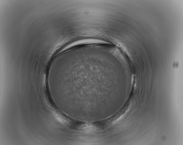 X0000091010589200708091603
