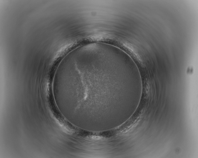 X0000091010590200708091603