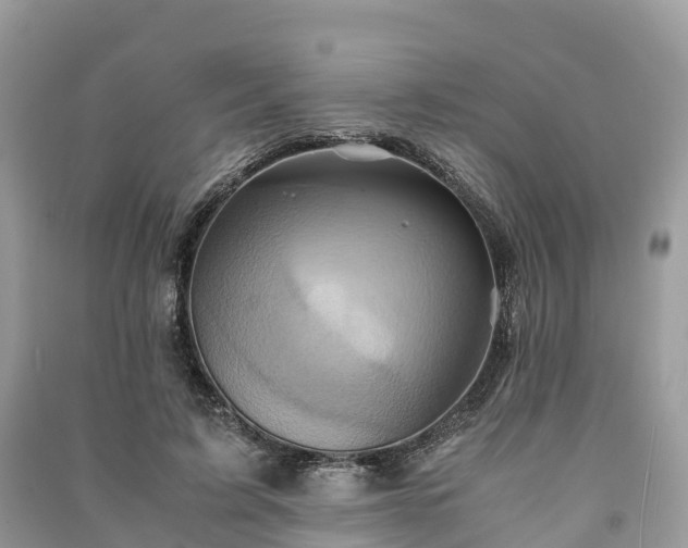 X0000091010595200708091603