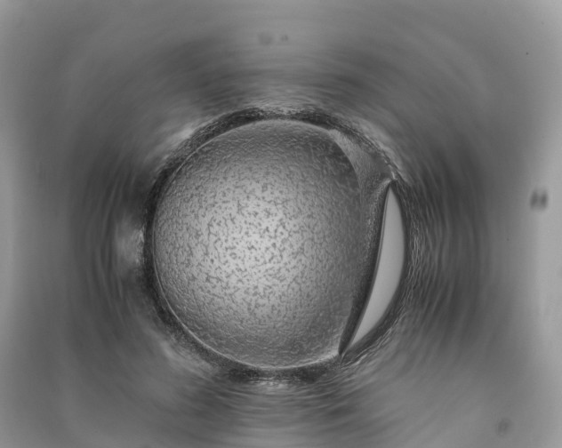 X0000091010596200708091603