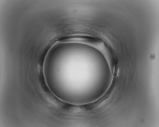 X0000091010597200708091603
