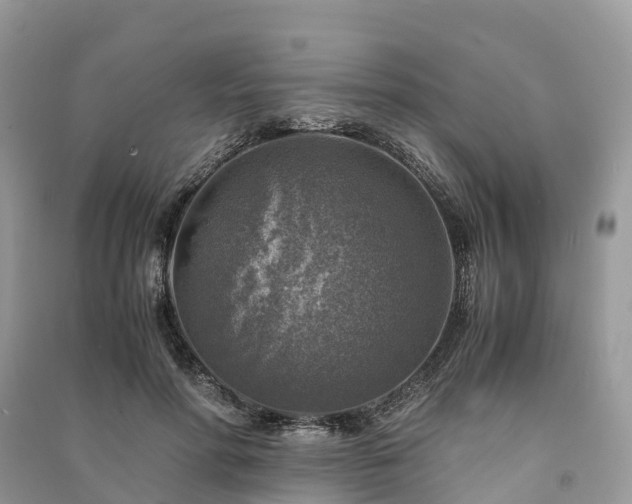 X0000091010598200708091603