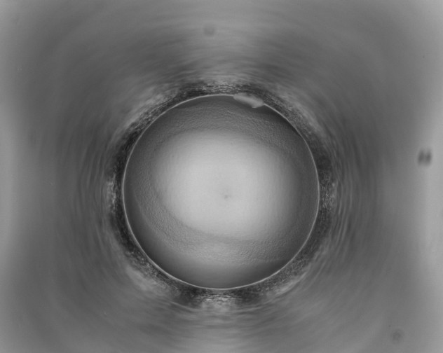 X0000091010599200708091603