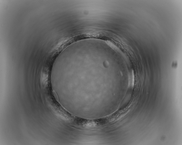 X0000091010600200708091603