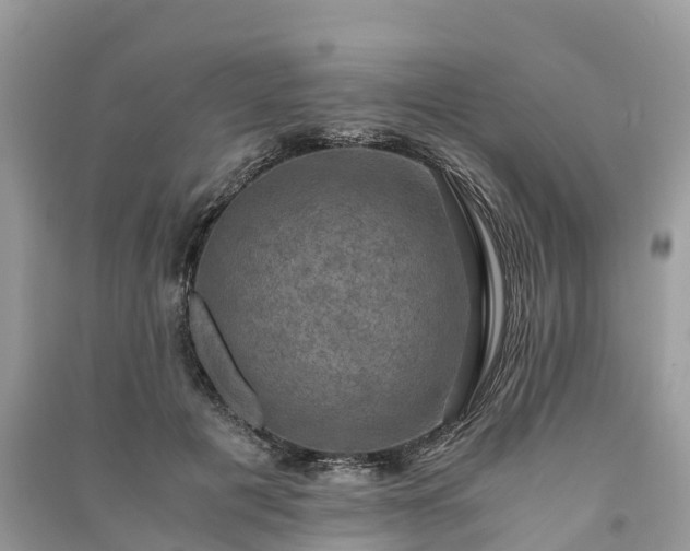 X0000091010601200708091603