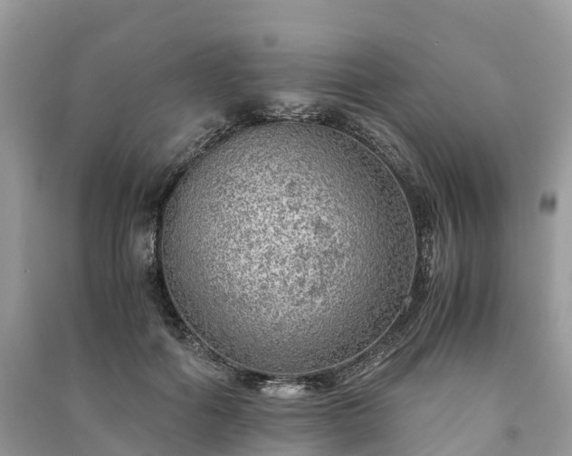 X0000091010602200708091603
