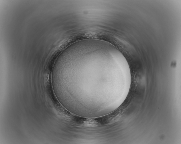 X0000091010603200708091603