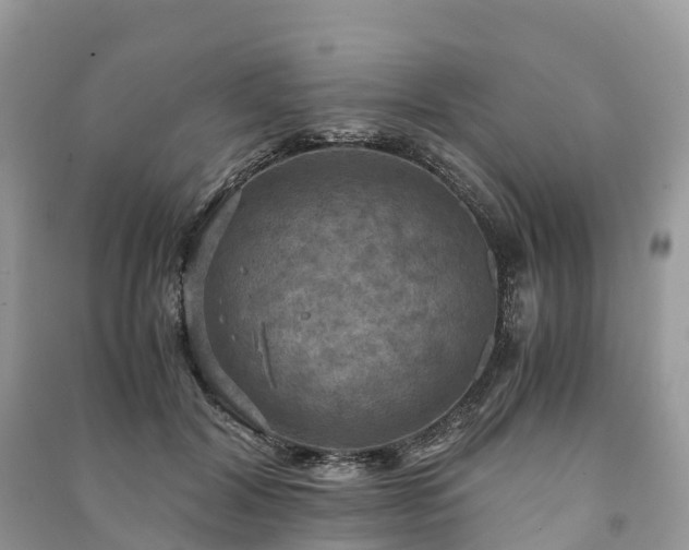 X0000091010604200708091603