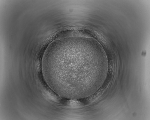 X0000091010605200708091603