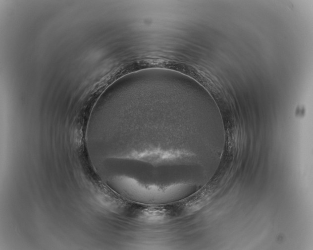 X0000091010606200708091603