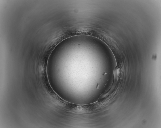X0000091010608200708091603