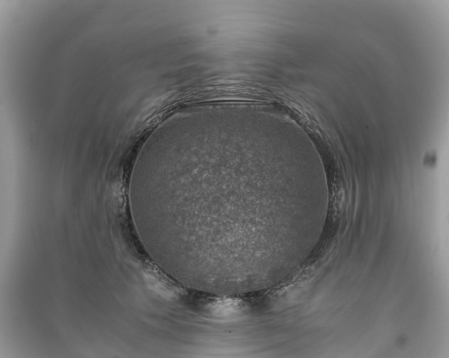 X0000091010609200708091603