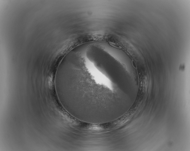 X0000091010610200708091603