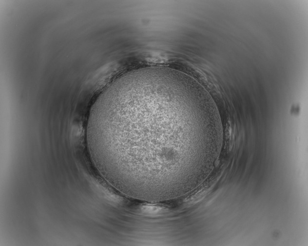 X0000091010614200708091603