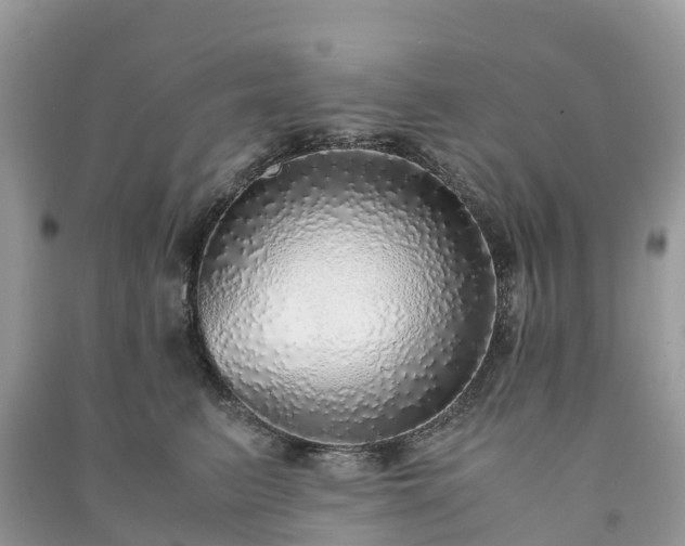 X0000091010615200708091603