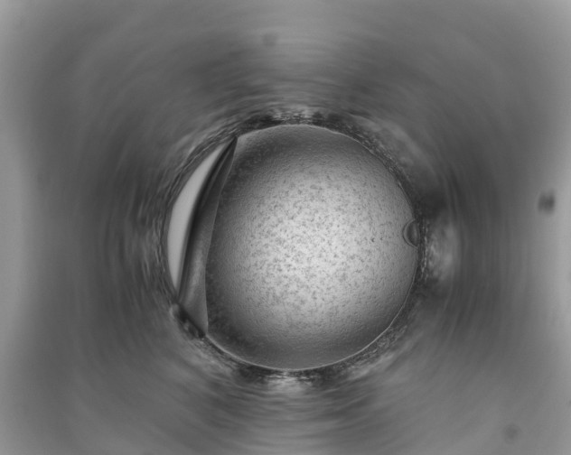 X0000091010616200708091603