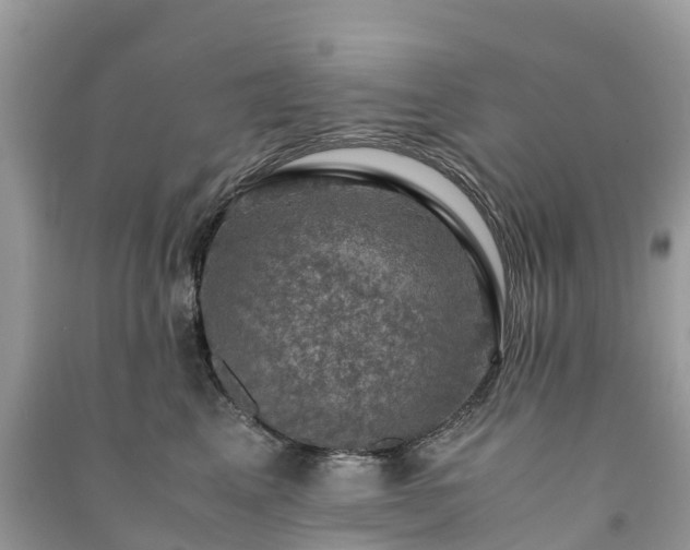 X0000091010617200708091603