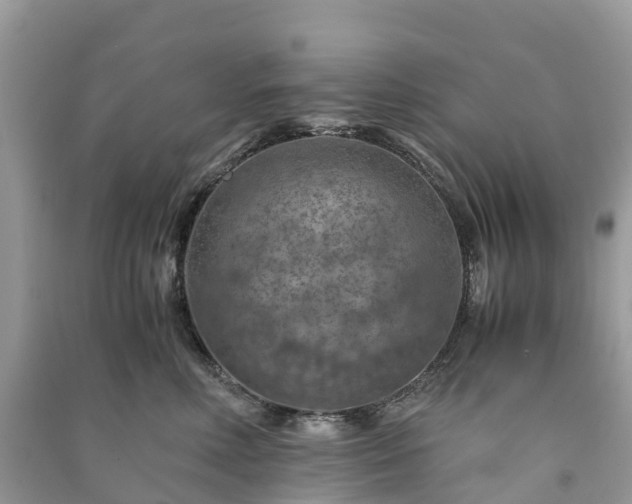 X0000091010618200708091603